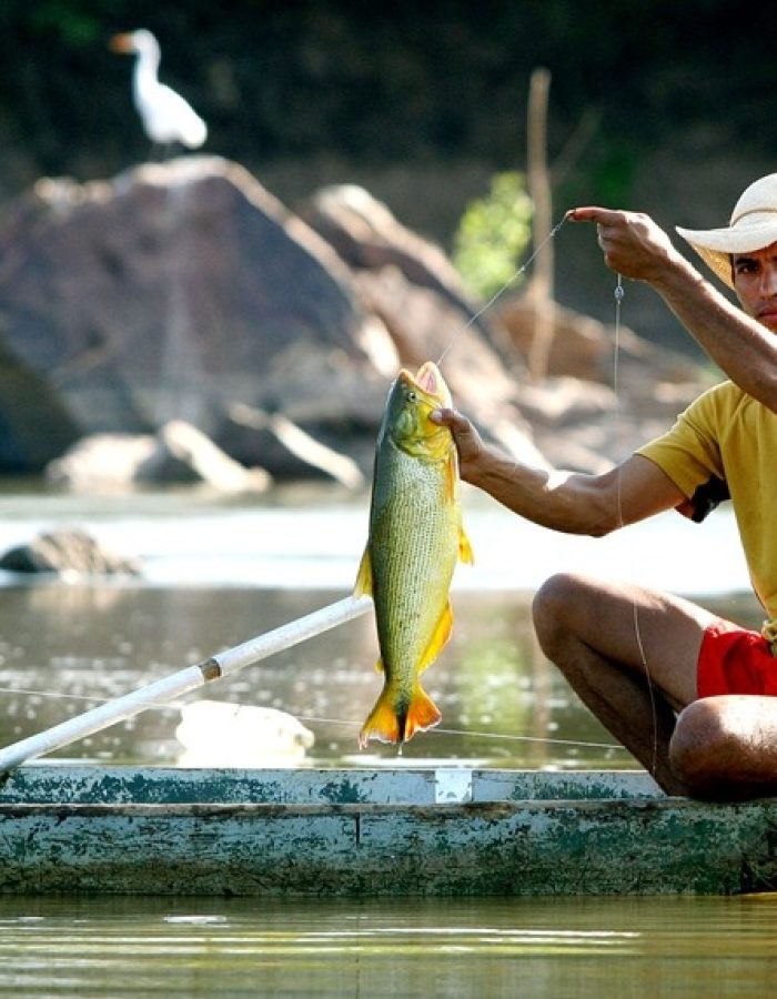 03020631_PESCA-PEIX.jpg