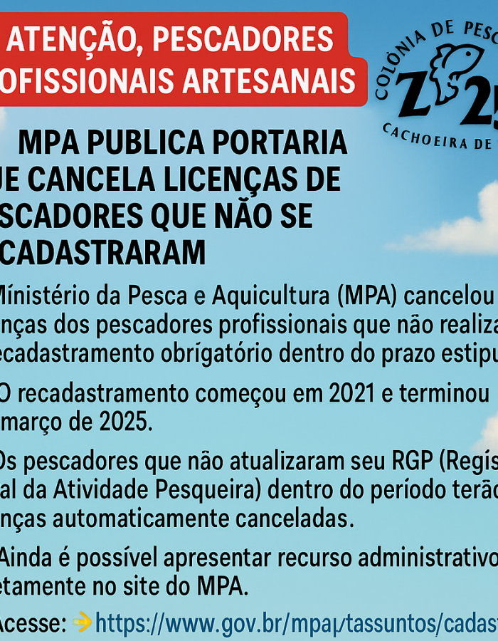 ChatGPT Image 28 de jun. de 2025, 13_48_29