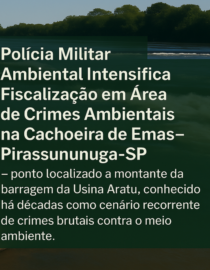 Create an informativo Policia ambiental II