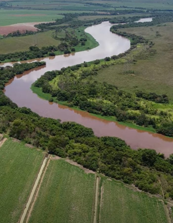 Imagens do rio mogi guaçu II