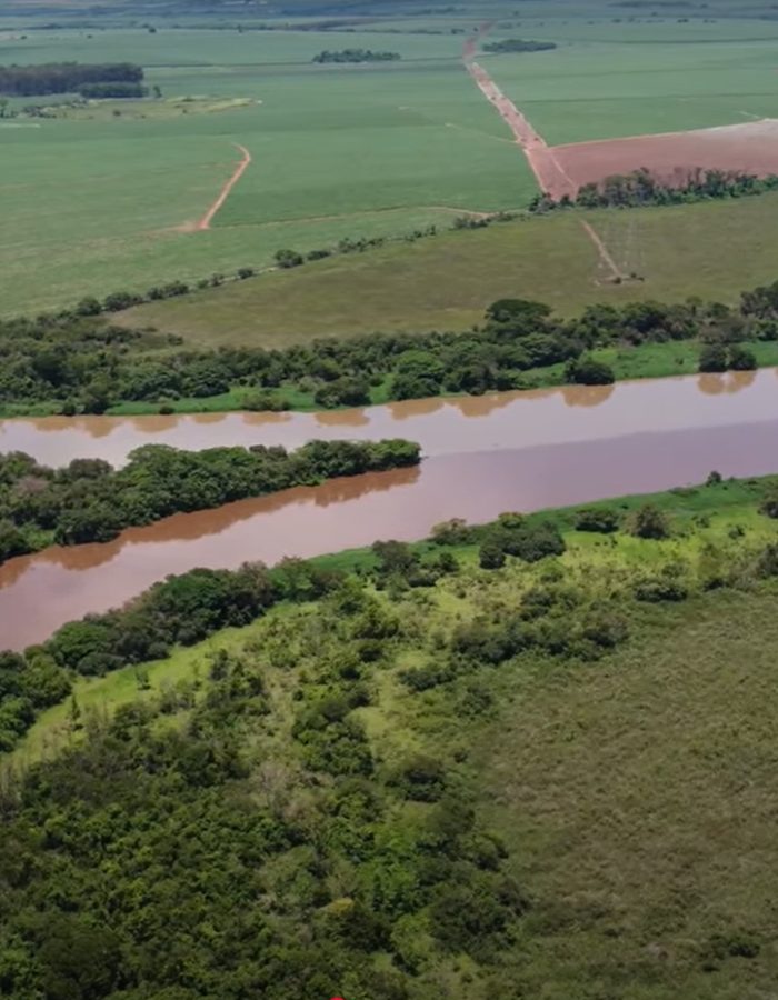 Imagens do rio mogi guaçu III