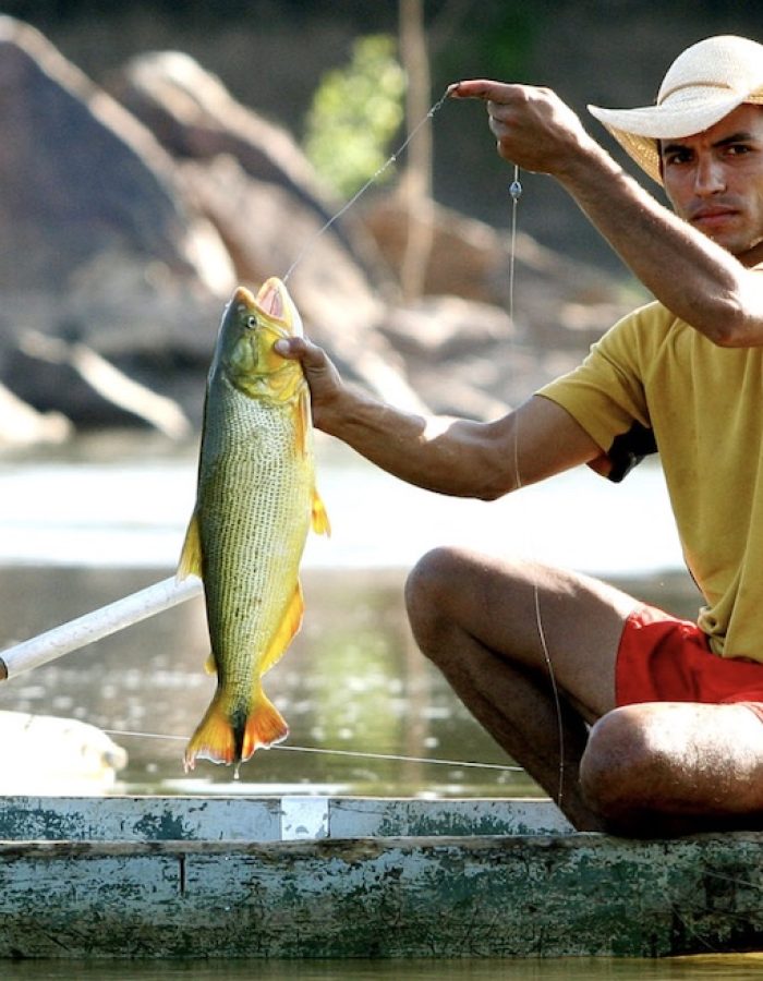 Peixe-e-pescador-em-Mato-Grosso-julho-20234-ass-.jpg