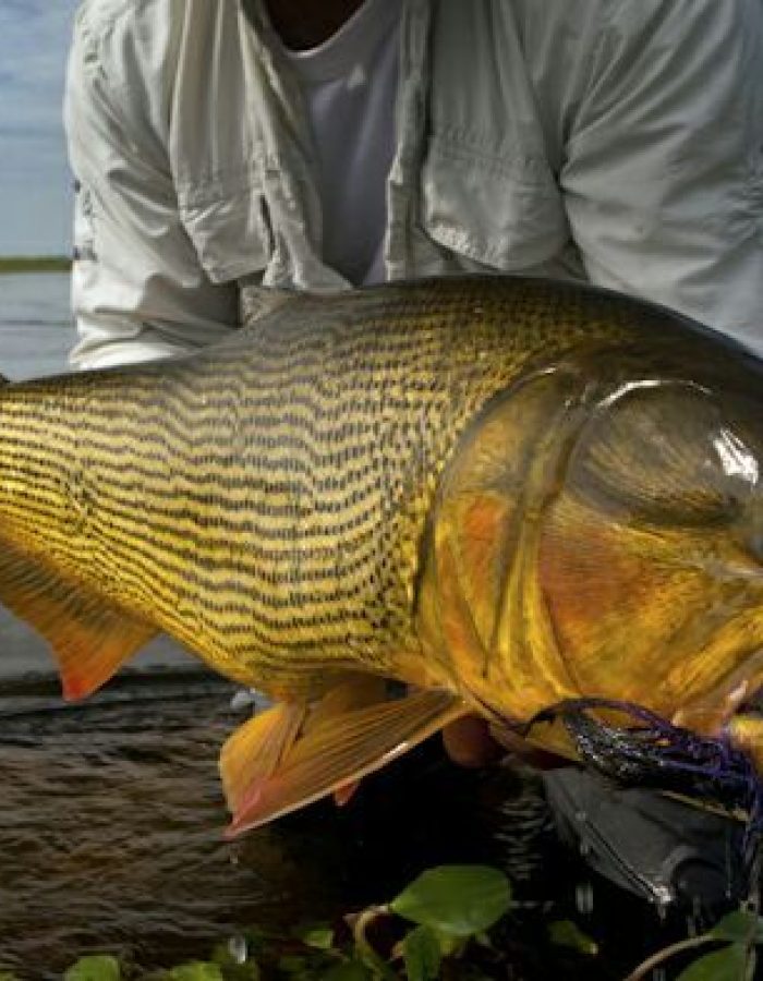 Pira Lodge Articles _ Fly Fishing Blog _ Nervous Waters