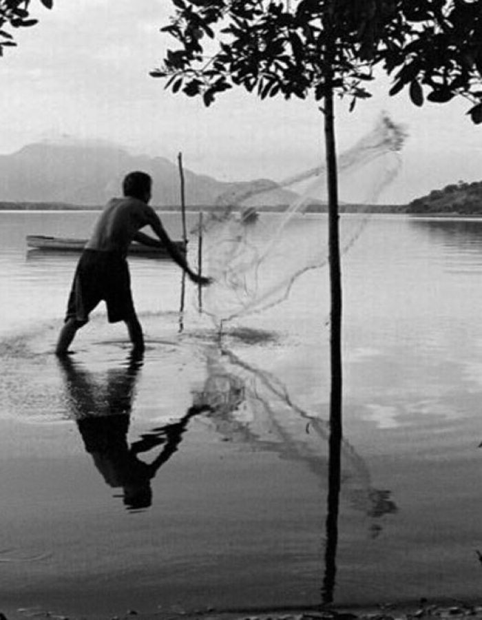 b2ap3_large_pescador_sao_pedro_rede_pb_leonardo_sa.jpeg