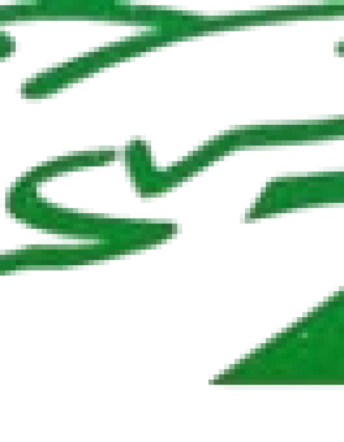 logo2-1-300×85-Photoroom