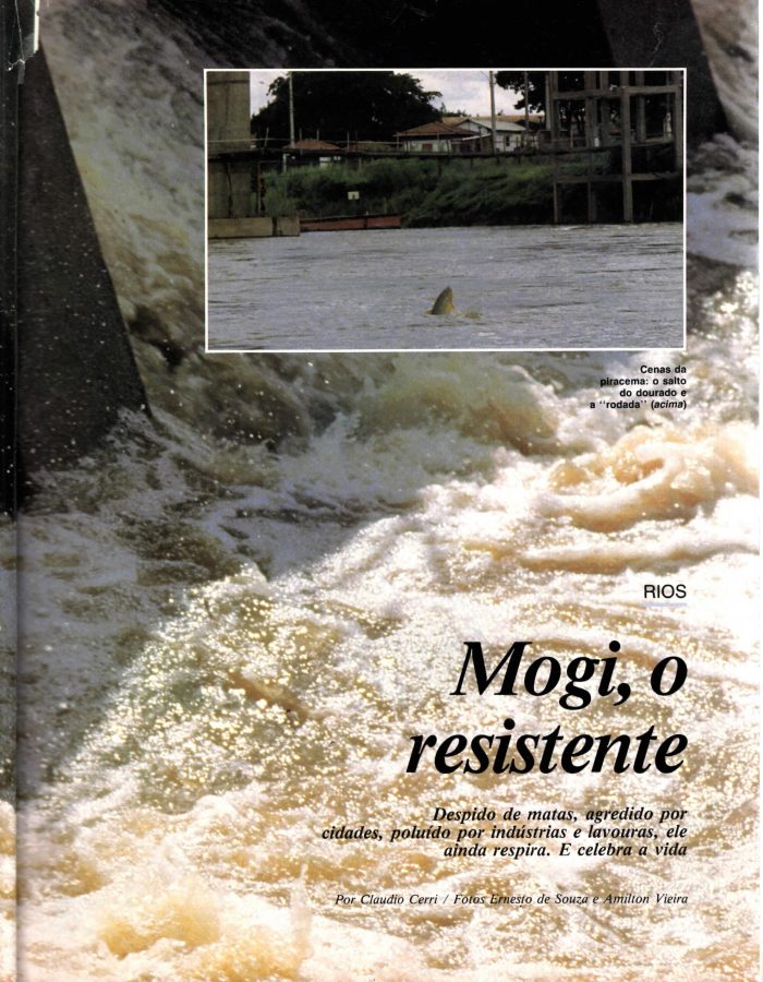 mogi guaçu II