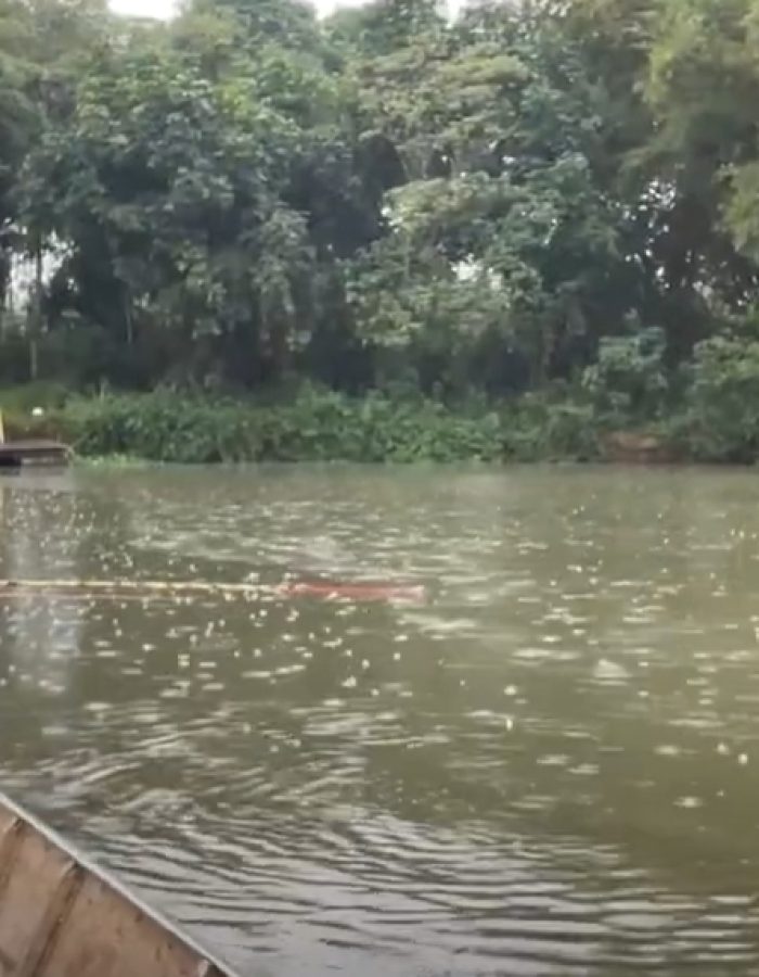 pesca_amador